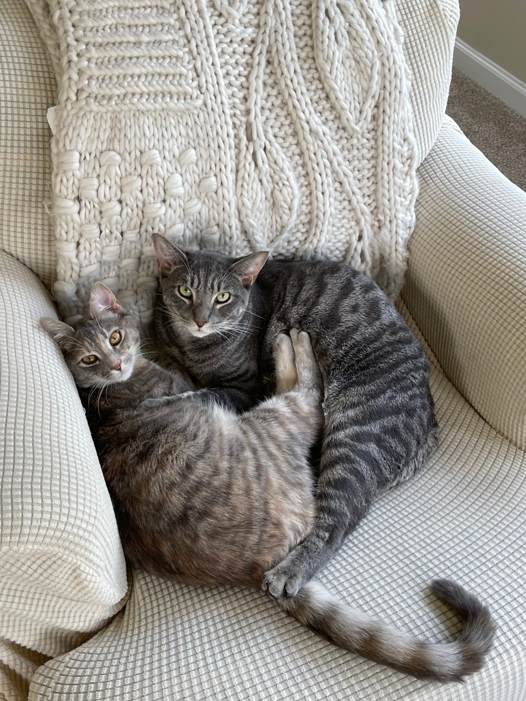 Let me de-influence you