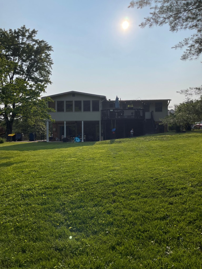 A field guide to suburbia: Notes from the front&nbsp;lawn