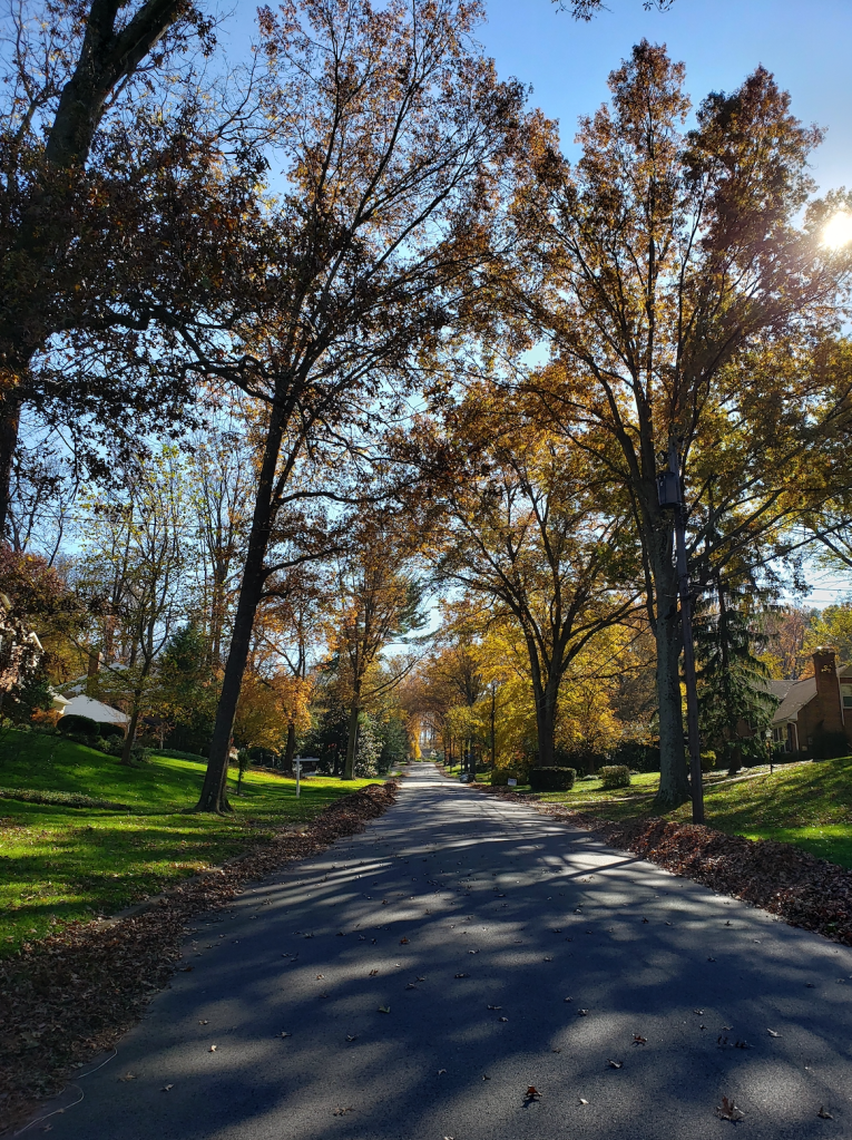 Lessons I’ve learned from therapy so you don’t have&nbsp;to