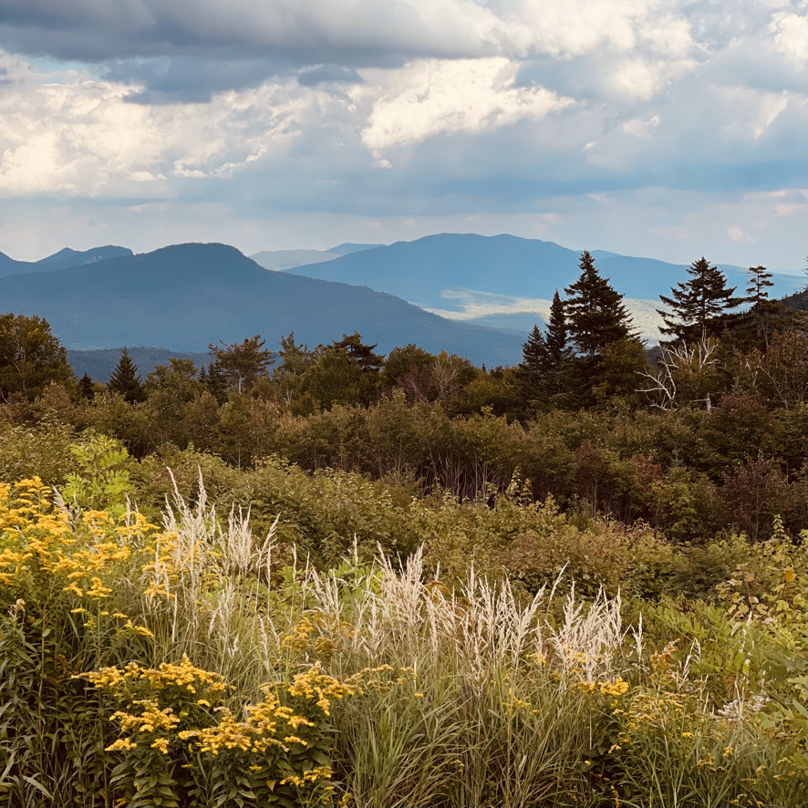 The perfect time for a life&nbsp;pivot